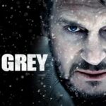 The Grey