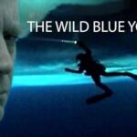 The Wild Blue Yonder