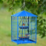 Mealworms Bird Feeders for Bluebirds – Metal – Huge Caged Squirrel-proof Bird Feeders with 2 Cups, DIY Wild Bird Feeders Outdoor Hanging (Blue), Attract Small Birds, 2lbs Seed Capacity+1 Mealworms Cup