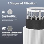 Improvedhand Blue Pure 311 Auto Replacement Filter Compatible with Blue Pure 311 Auto Air Purifier, 2 in 1 Systems, True HEPA Filter and Activated Carbon, 2 Pack